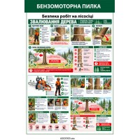 Стенд "Бензомоторная пила. Безопасность работ на лесосеке. Валка деревьев"